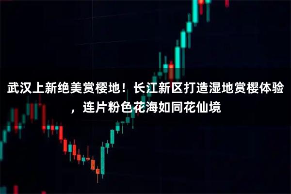 武汉上新绝美赏樱地！长江新区打造湿地赏樱体验，连片粉色花海如同花仙境