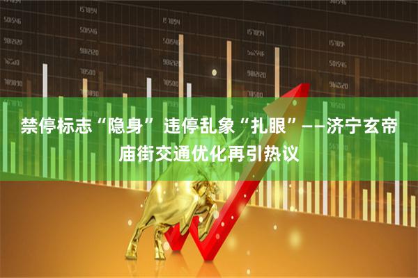 禁停标志“隐身” 违停乱象“扎眼”——济宁玄帝庙街交通优化再引热议